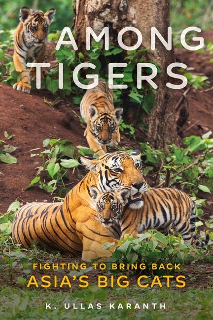 Among Tigers: Fighting to Bring Back Asias Big Cats
