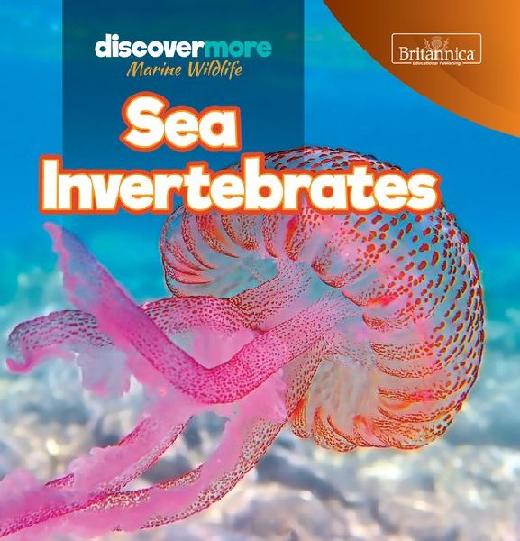 Sea Invertebrates