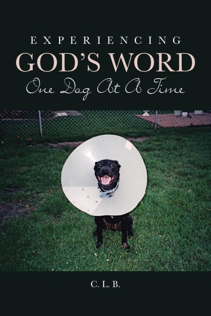 Experiencing Gods Word One Dog At A Time