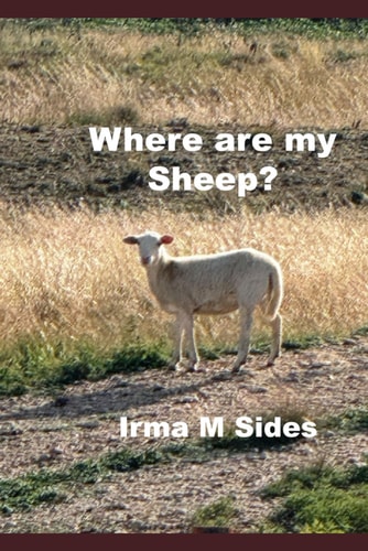 Where are My Sheep?