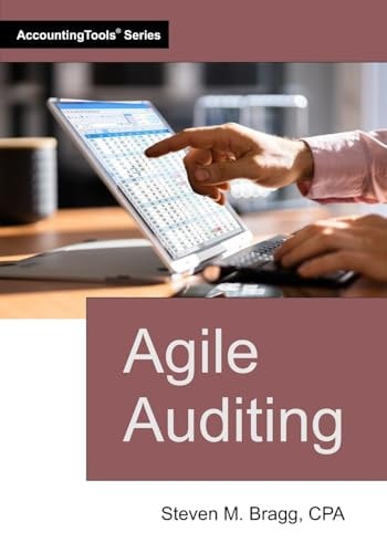Agile Auditing