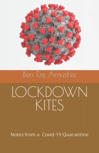 Lockdown Kites Notes from a Covid-19 Quarantine