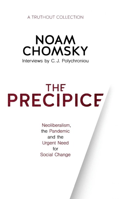 The Precipice: Neoliberalism, the Pandemic and the Urgent Need for Social Change