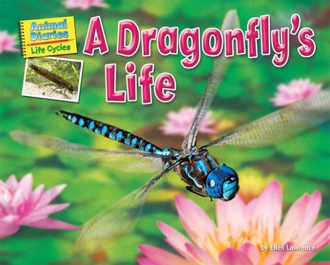 A Dragonflys Life