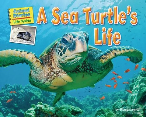 A Sea Turtles Life