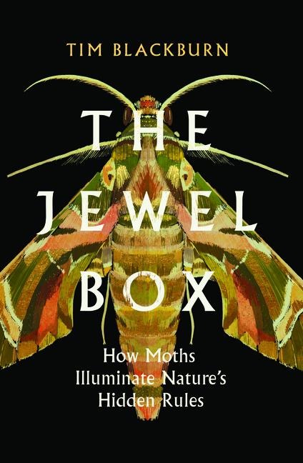 The Jewel Box: How Moths Illuminate Natures Hidden Rules