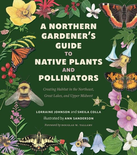 A Northern Gardeners Guide to Native Plants and Pollinators
