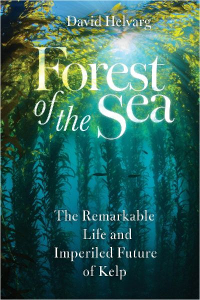 Forest of the Sea: The Remarkable Life and Imperiled Future of Kelp