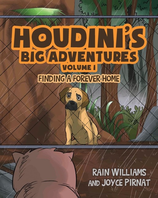Houdinis Big Adventures: Finding a Forever Home
