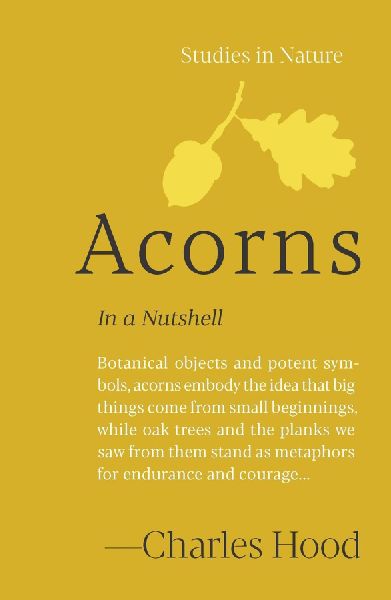 Acorns: In a Nutshell