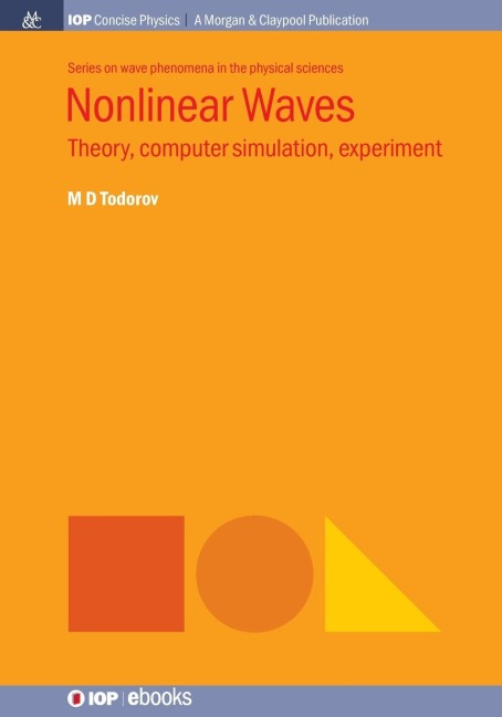 Nonlinear Waves: Theory, Computer Simulation, Experiment