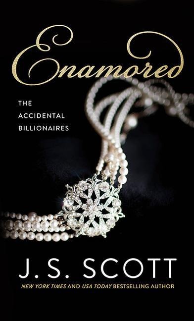 Enamored: The Accidental Billionaires