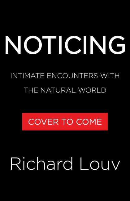 Noticing: Intimate Encounters With the Natural World