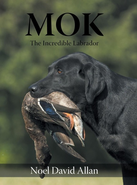 Mok: The Incredible Labrador