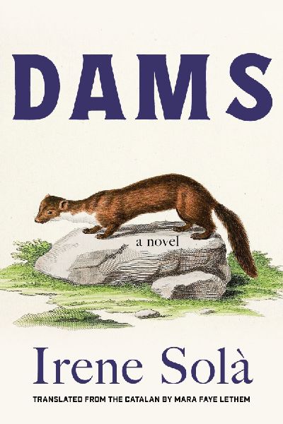 Dams: A Novel