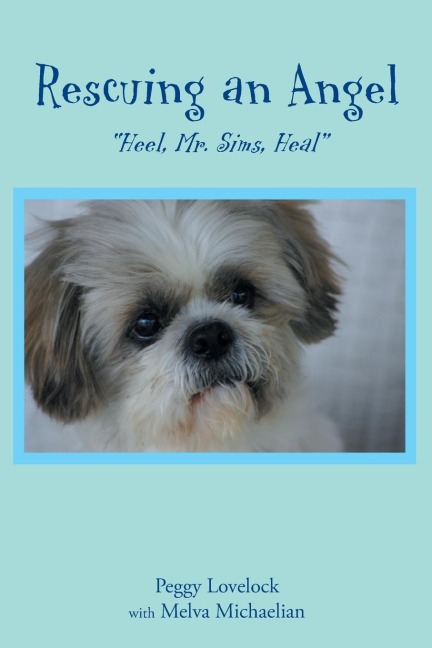 Rescuing an Angel: Heel, Mr. Sims, Heal