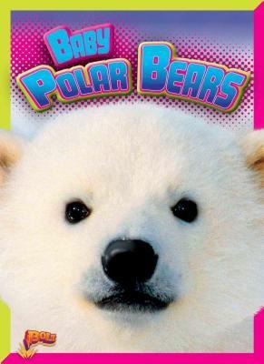 Baby Polar Bears