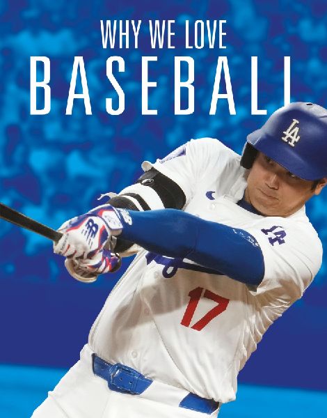 Why We Love Baseball