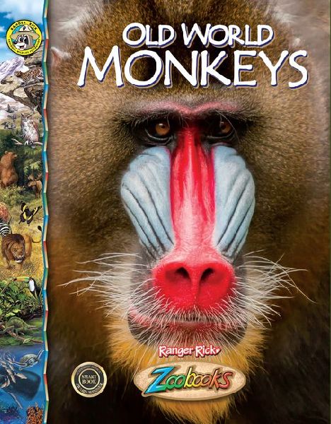 Old World Monkeys