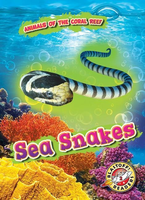 Sea Snakes