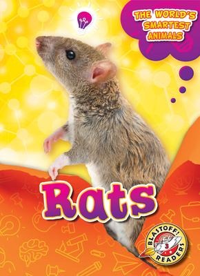 Rats