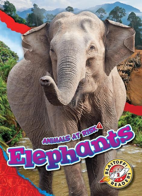 Elephants