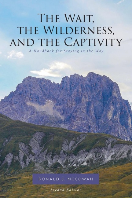 The Wait, the Wilderness, and the Captivity: A Handbook for Staying in the Way