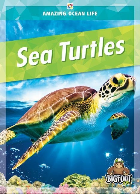 Sea Turtles