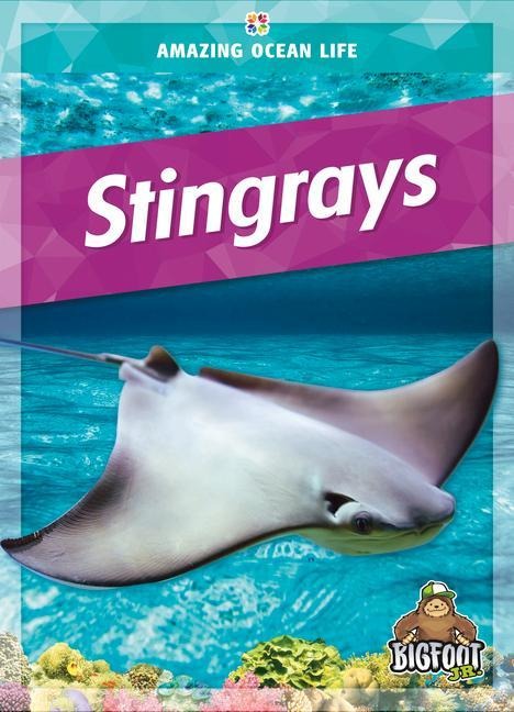 Stingrays