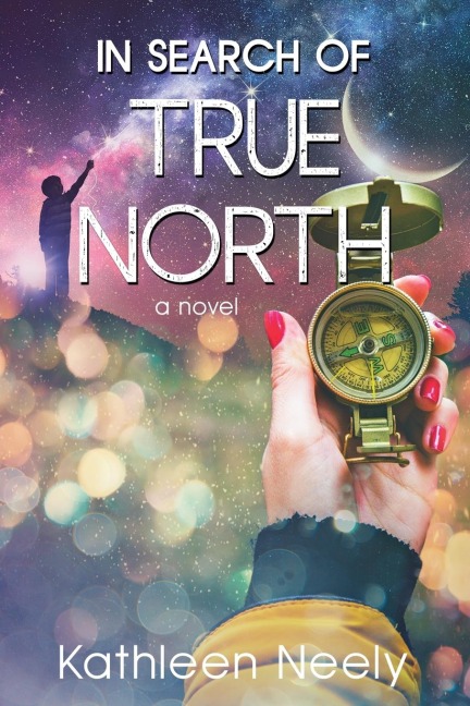 In Search of True North: (A Novel)