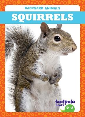 Squirrels