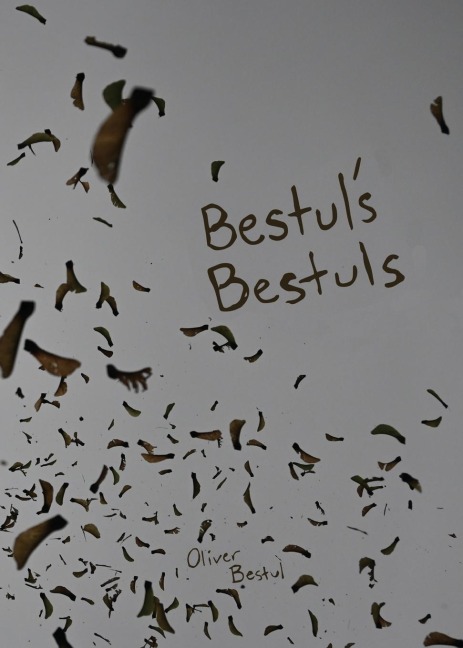 Bestuls Bestuls