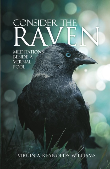 Consider The Raven: Meditations Beside a Vernal Pool