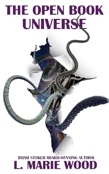 The Open Book Universe