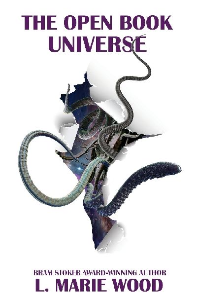 The Open Book Universe