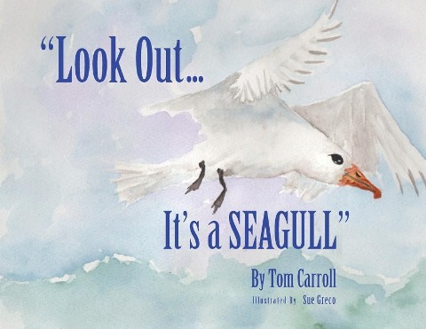 Look Out... Its a Seagull