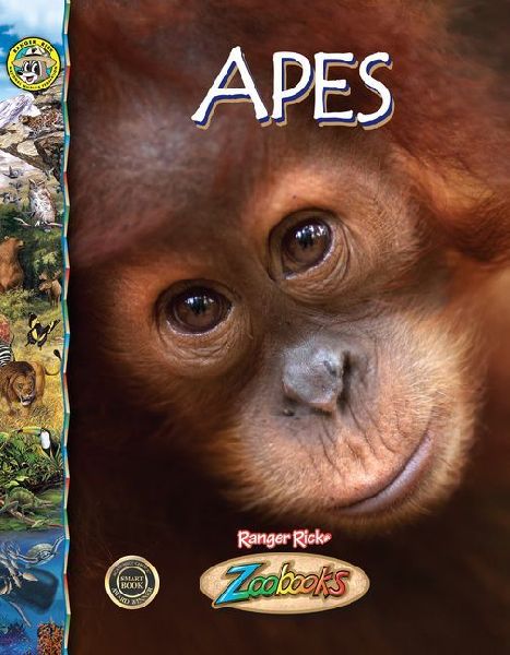 Apes