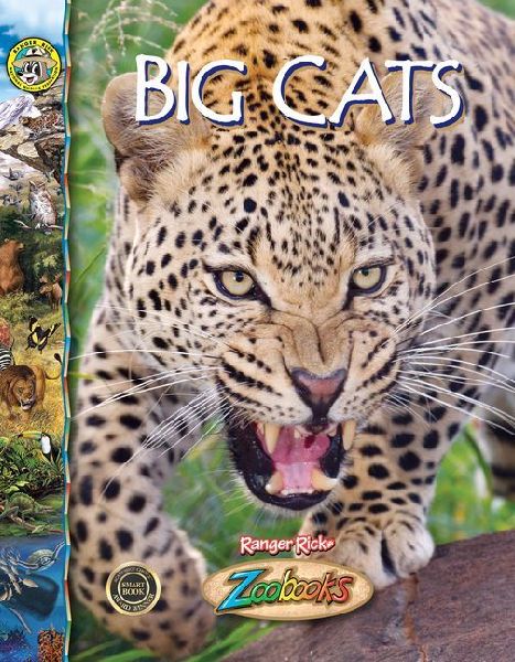 Big Cats