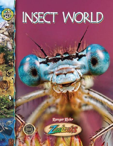 Insect World