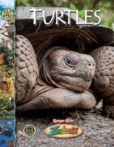 Turtles