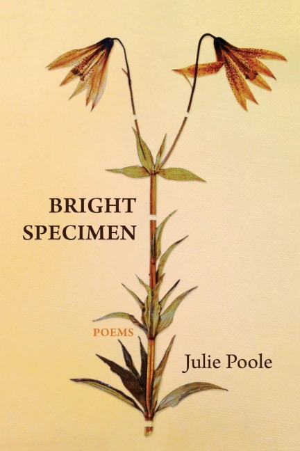 Bright Specimen
