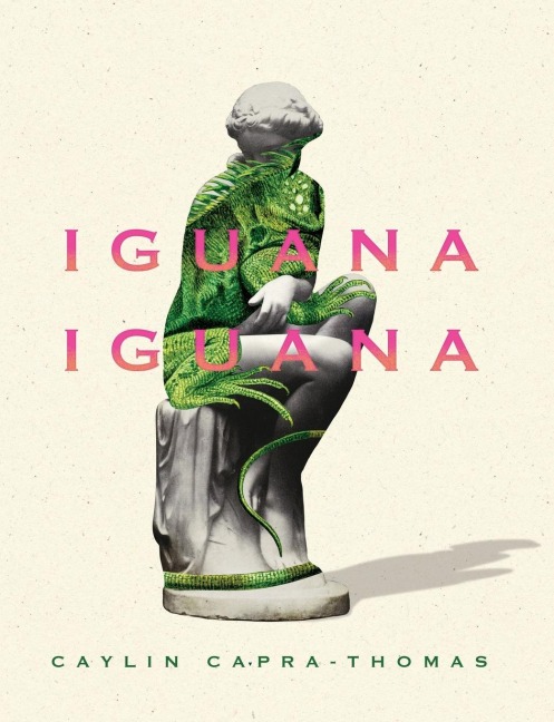Iguana Iguana