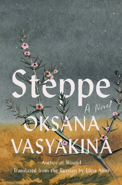 Steppe