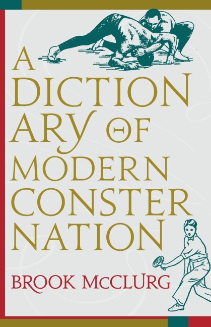 Dictionary of Modern Consternation