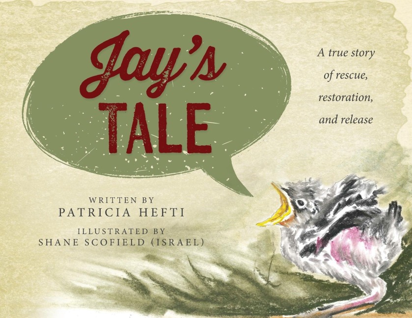 Jays Tale: A true story of rescue, restoration and release
