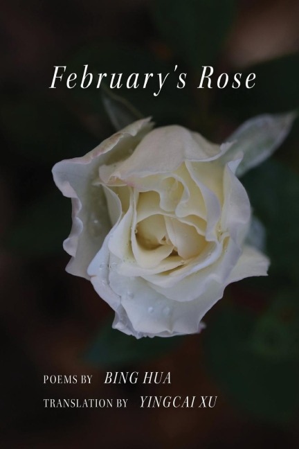 Februarys Rose