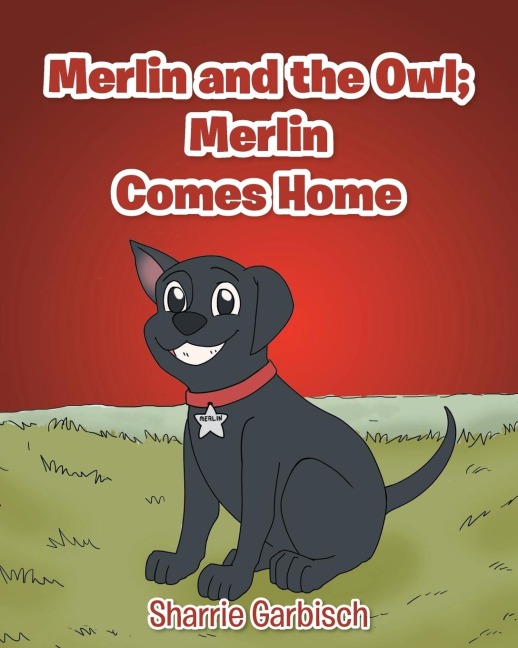Merlin and the Owl: Merlin Comes Home