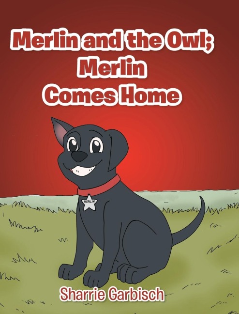 Merlin and the Owl: Merlin Comes Home