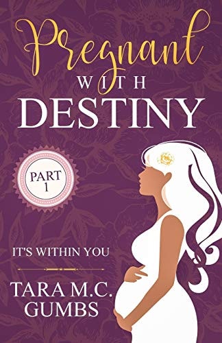 Pregnant With Destiny Part 1 It's Within You