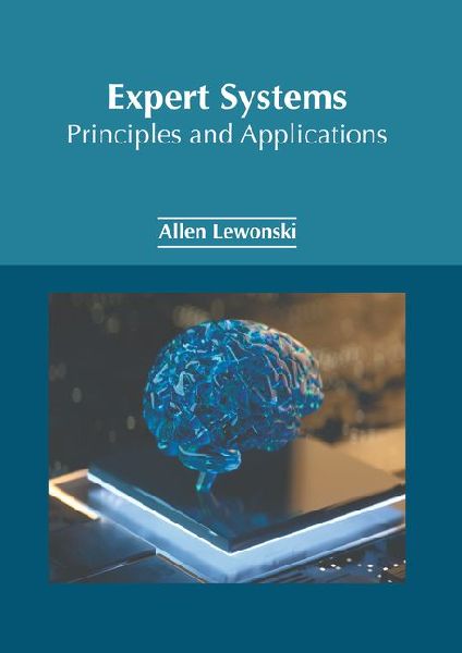 Expert Systems: Principles and Applications